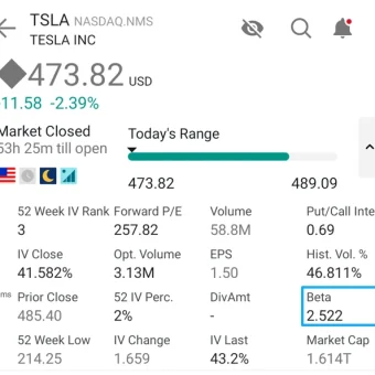 ibkr-stock-beta-toget
