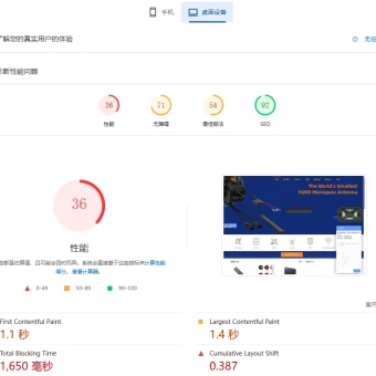 01-site-audit-result-desktop